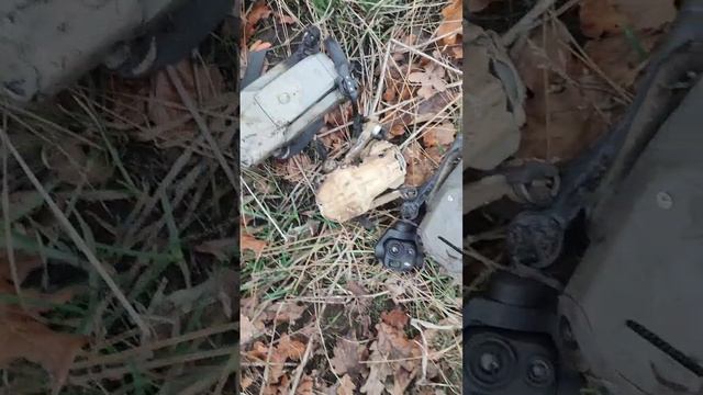 Охота в ДНР в 2025 году выглядит так