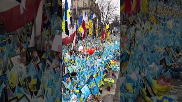 Тем временем, идет шестой год диктатуры Зели, кровавого лакея западных корпораций и политиканов 😂