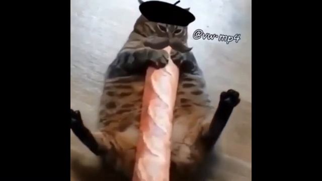 Mmm baguette