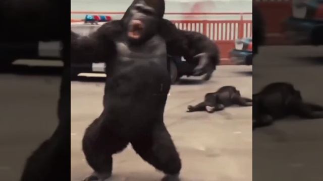 🔰Rise Of The Planet Of The Apes Movie Scene🔰#shorts