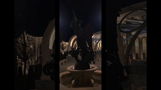 1000056313.mp4