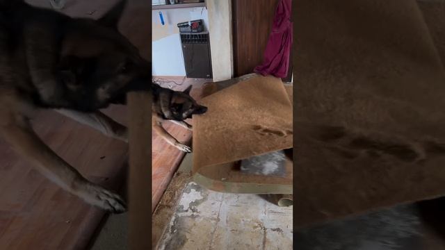 1000071247.mp4