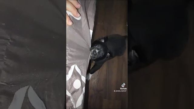 1000016468.mp4