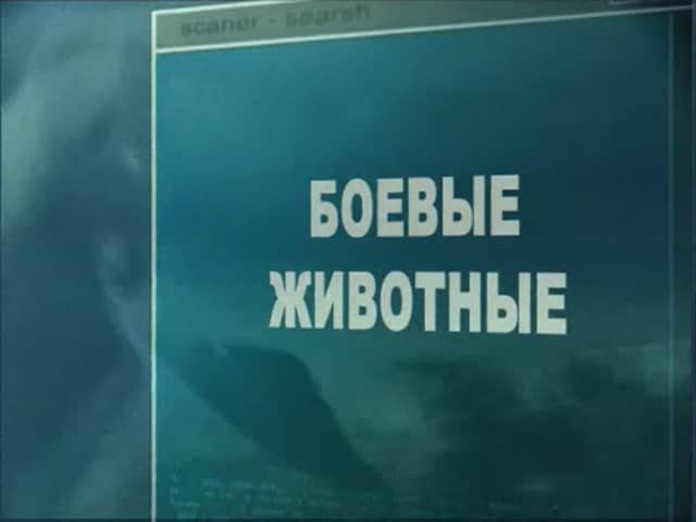 Ударная сила 1 сезон 99 серия (документальный сериал, 2002-2010)