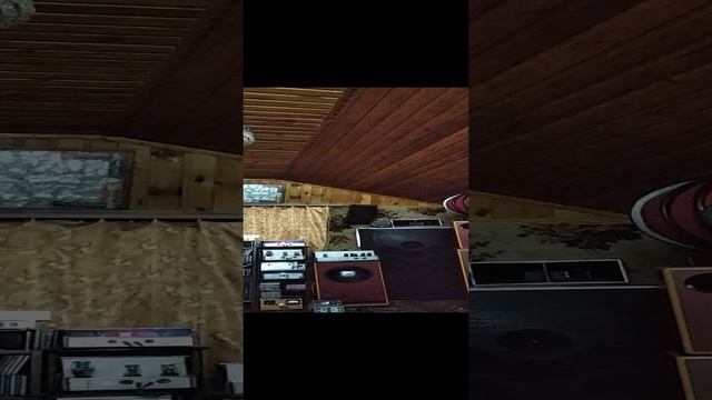 VID_20250113_195449.mp4