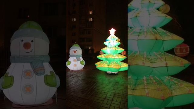 IMG_20250112_221008_717.mp4