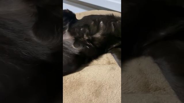 1000071206.mp4