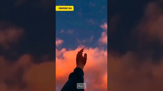 Вы еще сомневаетесь идти ли на PDR FEST 2025?