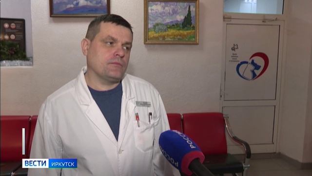 Больше пятисот собак и кошек привили от бешенства с начала года в Иркутской области