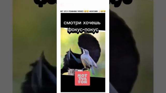🤣🤣🤣🤣🤣🤣