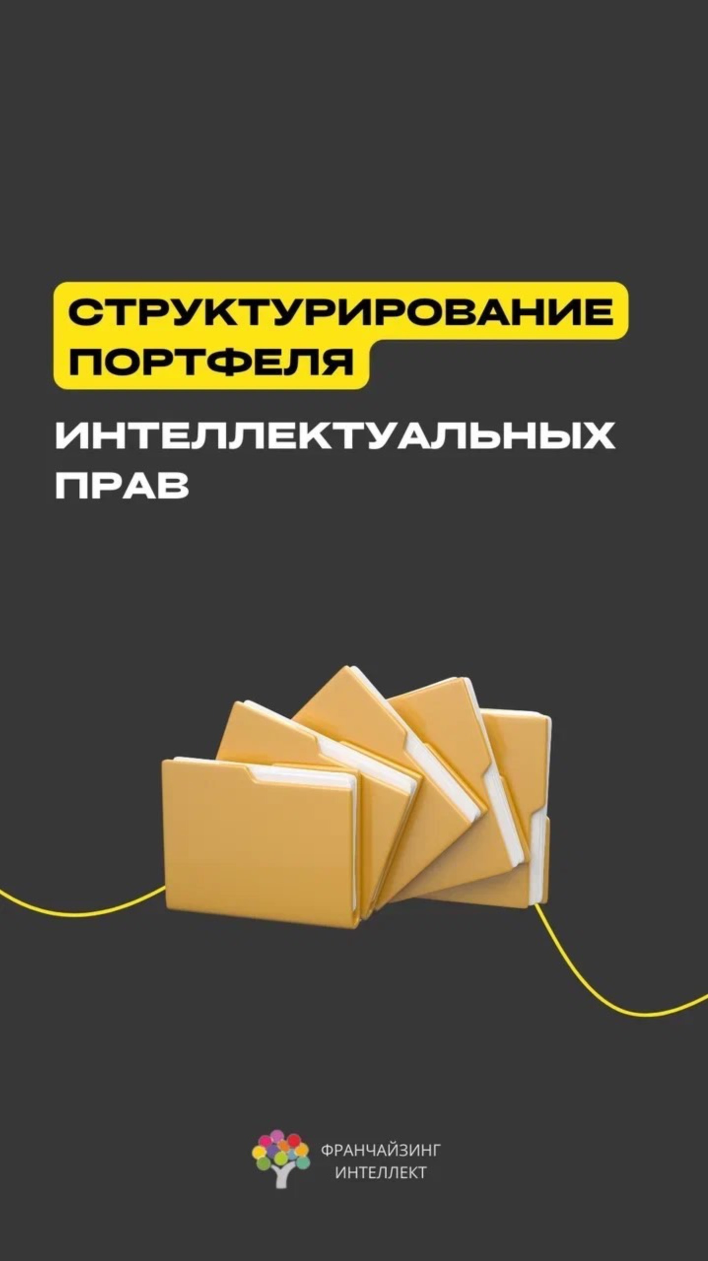 СТРУКТУРИРОВАНИЕ ПОРТФЕЛЯ ИНТЕЛЛЕКТУАЛЬНЫХ ПРАВ
