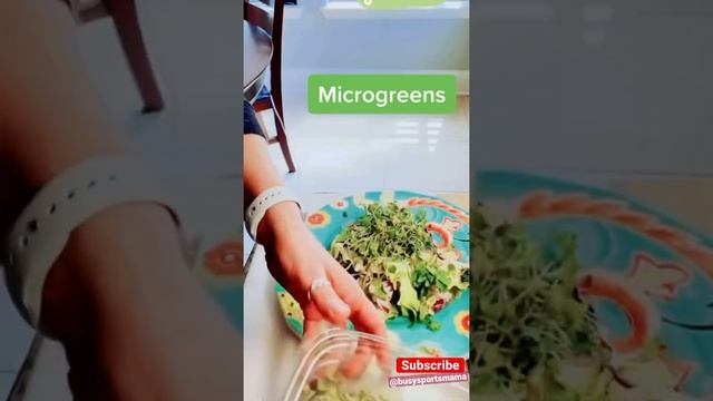 Quick Salad Idea for Lunch - 2 Must Know Hacks #Shorts