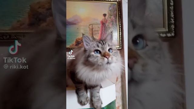 1000006421.mp4