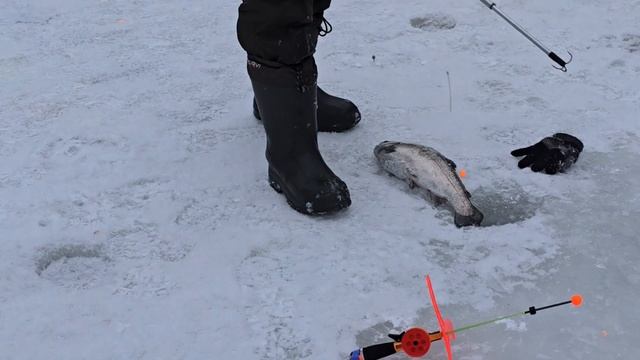 13.01.25 г. Парк отдыха водопад 
Запуск 100 кг.
