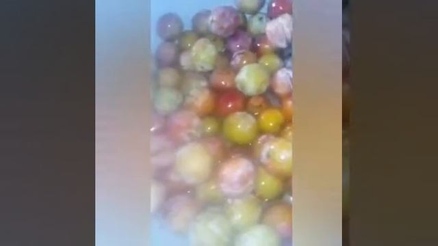 Salori chir