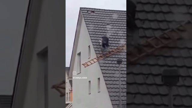 При работах на кровле не забывайте про страховку и элементы безопасности кровли ⚙️🧰