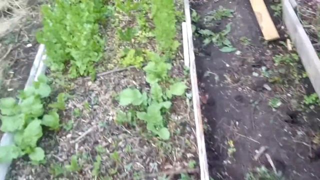 К похолоданию готова! Новые приобретения.