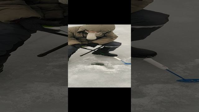 VID_20250111_113854.mp4