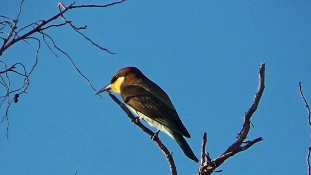 Когда есть на что полюбоваться