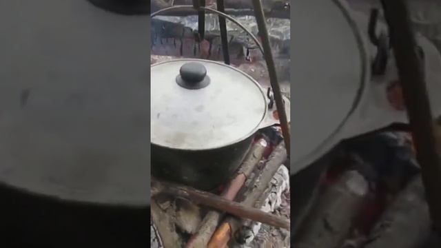 🏕️Сам поймал🎣, сам 🍲приготовил.Уха из щуки на🔥 костре. #fishing  #pikefishing #food #Shorts