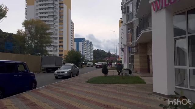 28.10.24г🌹Вечерний Лазаревское/ Розы цветут бесконечно/ Коллекция духов/ Новый аромат#аринаморесочи