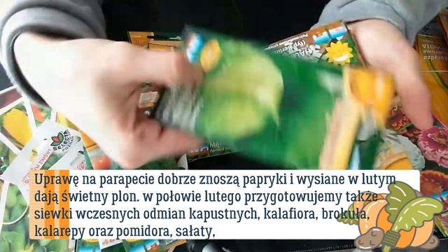 Jakie warzywa siać w lutym, co uprawiać, warzywa w lutym. Luty, warzywnik, uprawa warzyw #ogród