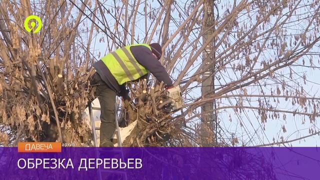 Давеча | 13.01.2025 | Обрезка деревьев Кирове