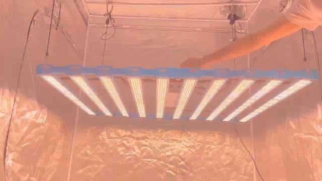 1000W LM301H 1000w