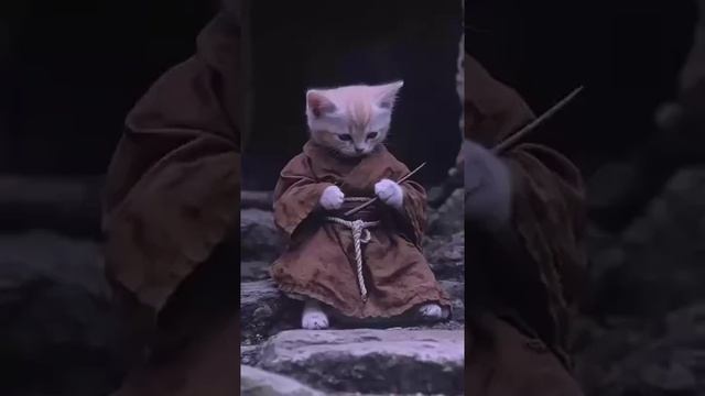 Котофентези
