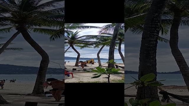 1000005971.mp4