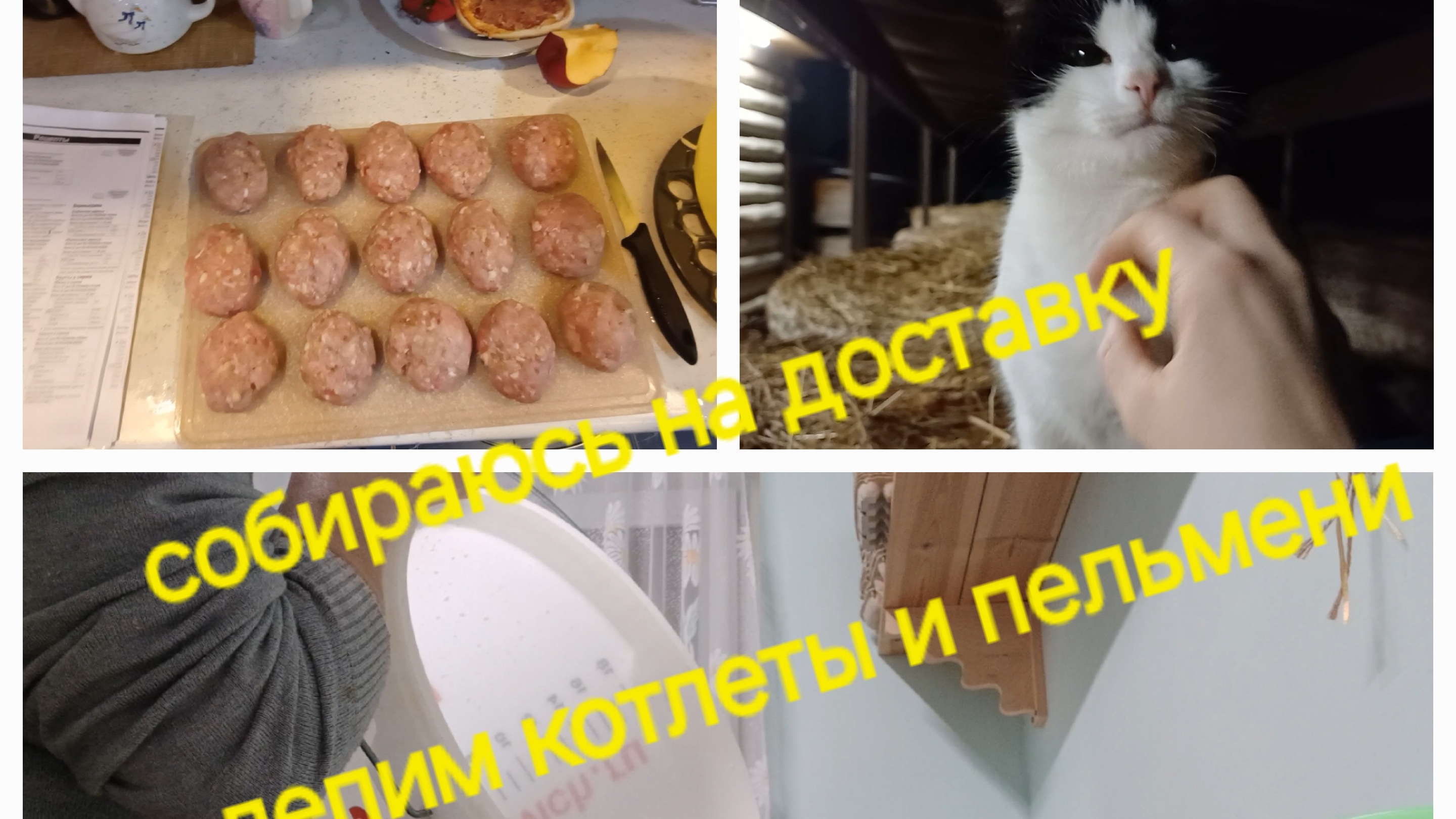 налепили котлет и пельменей