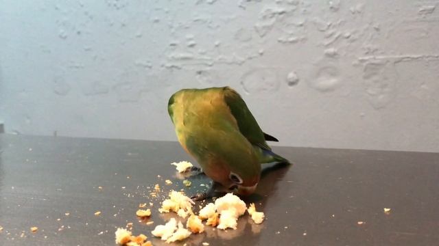 3803685-hd_1920_1080_30fps