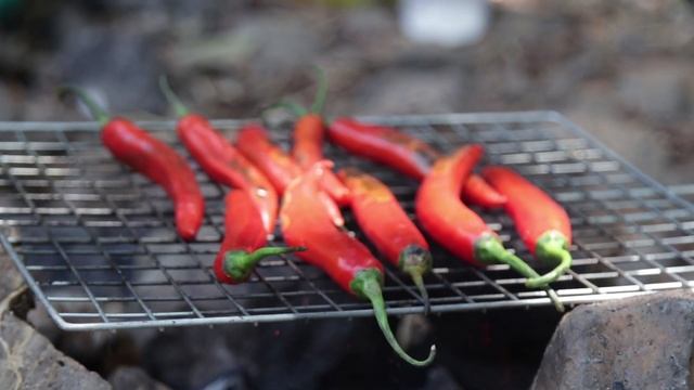 Grilled duck with red pepper sauce near waterfall #duck #Pepper