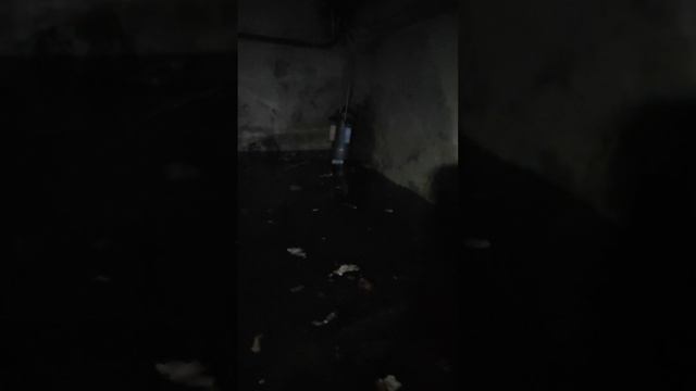 снова пятница и снова жопа)