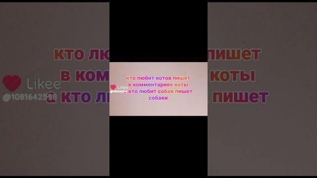 1000010924.mp4