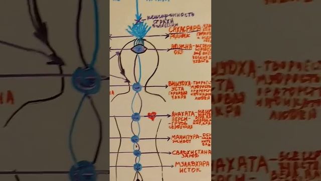 Как создаются наши тела.Ты - Бог, доказательство.