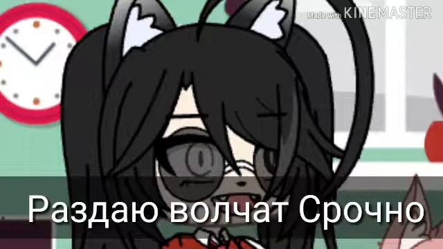 Раздаю волчат