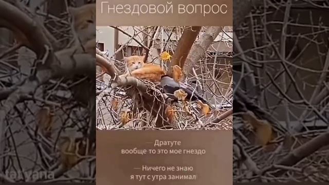 Жилищный вопрос