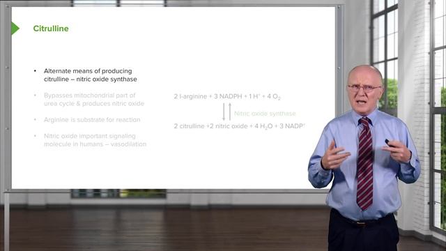 02.04 Carbamoyl Phosphate Synthetase Reaction and Citrulline