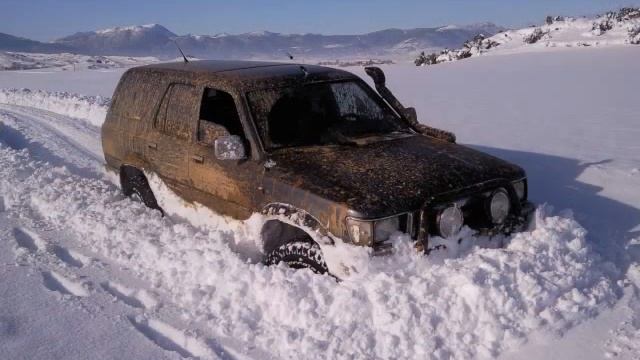 Vitara Y Toyota