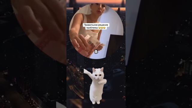 1000005430.mp4
