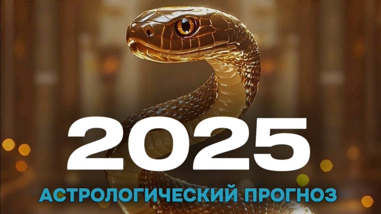 ПРОГНОЗ НА 2025 ГОД | Ольга Майдо
