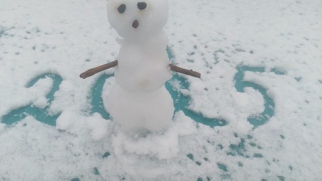 VID_20250113_094536.mp4