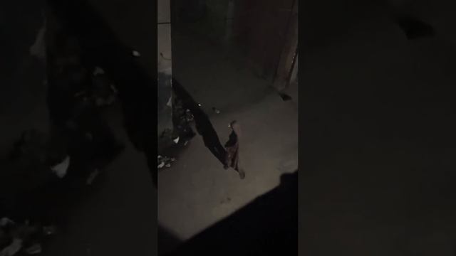 Он заснял жуткую, странную женщину со своего балкона. Она танцевала и странно ходила посреди ночи со
