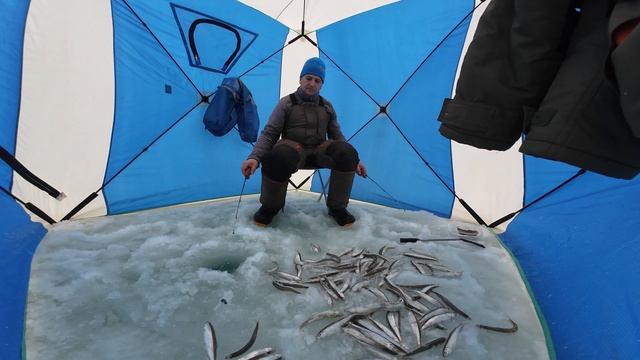 Изменчивое. Воскресная рыбалка. Малоротая корюшка. 12.01.2025