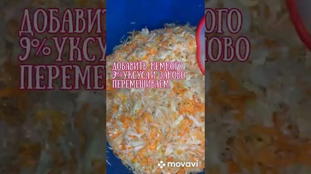 Квашеная Капуста