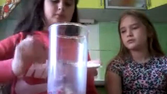 Малиновый день/2 часть/Малиновое смузи