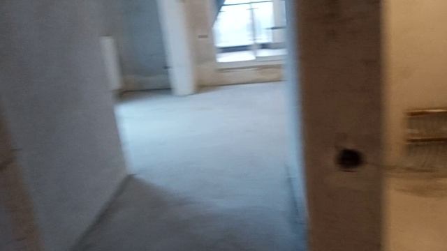 VID20241128115155.mp4