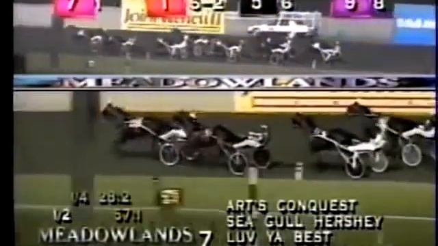 1998 Meadowlands ART'S CONQUEST 2YO Stake Mike Lachance