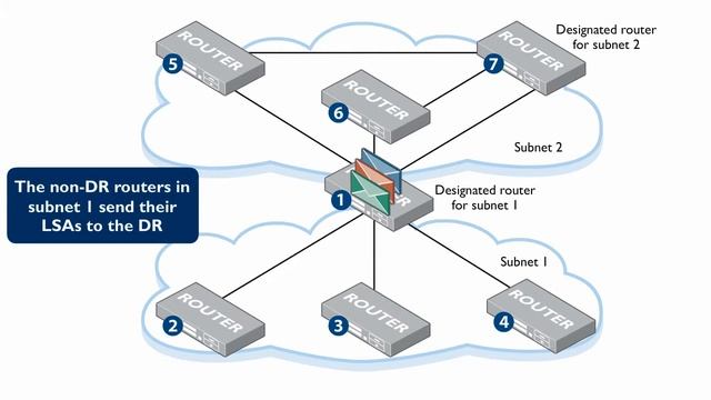 An OSPF router that is Designated Router on one subnet, but not on another.